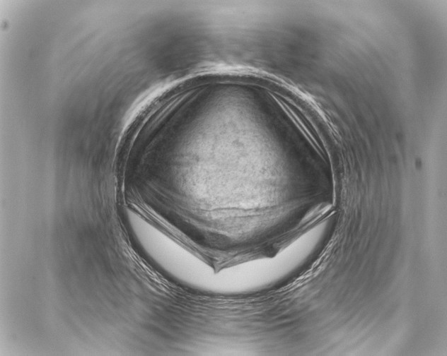 X0000087031319200705071525