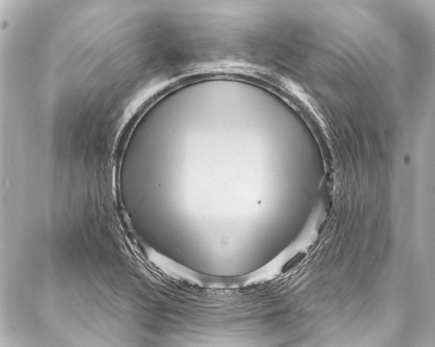 X0000087031320200705071525