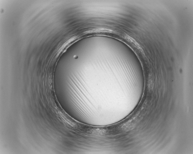 X0000087031321200705071525