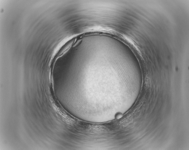 X0000087031323200705071525