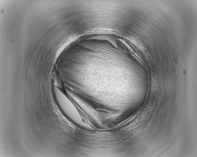 X0000087031325200705071525