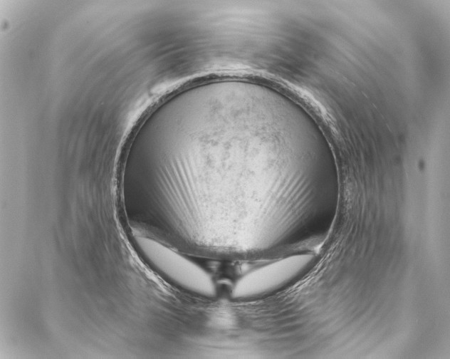 X0000087031327200705071525