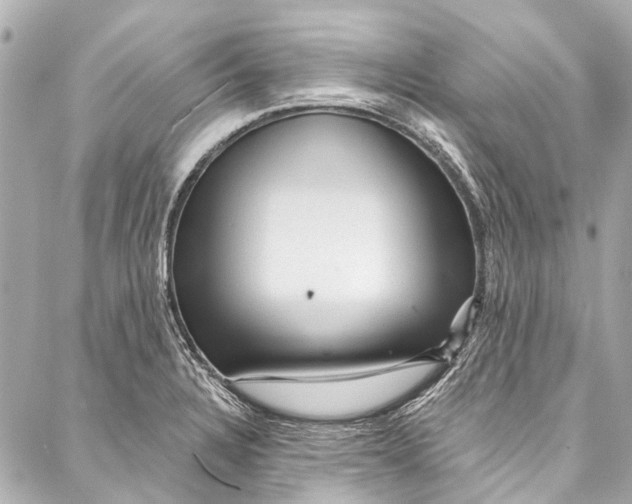 X0000087031328200705071525