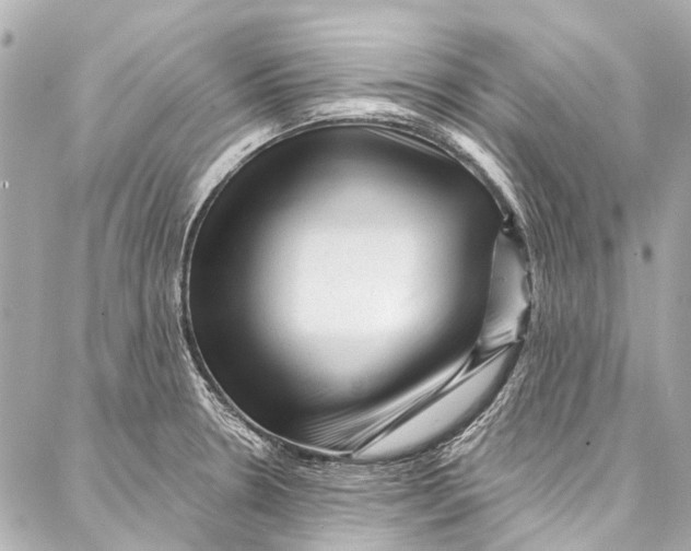 X0000087031330200705071525