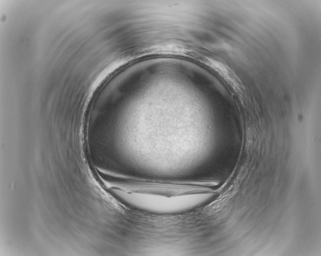 X0000087031331200705071525