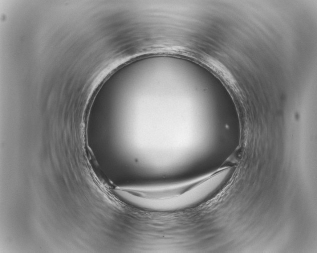 X0000087031332200705071525