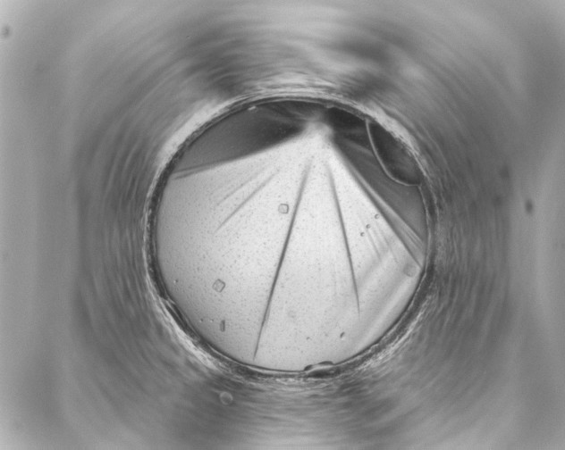 X0000087031333200705071525