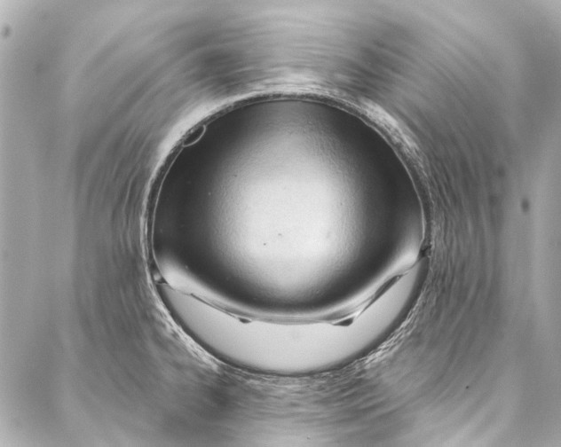 X0000087031334200705071525