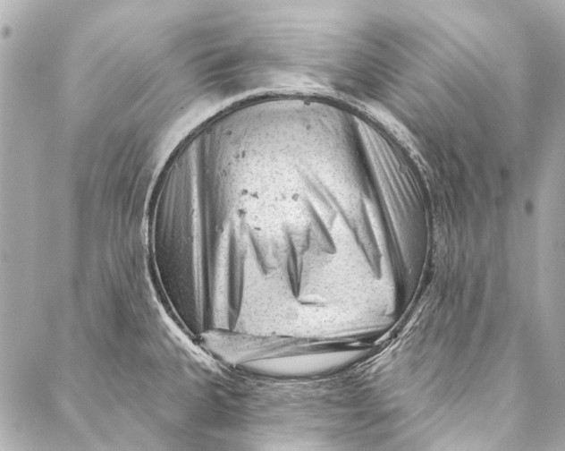 X0000087031335200705071525