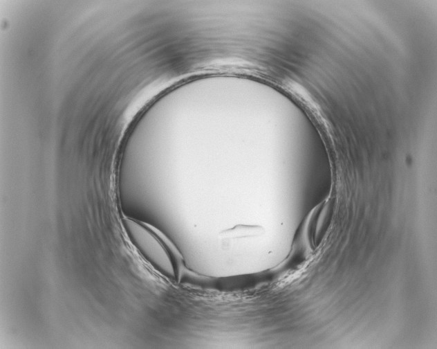 X0000087031336200705071525