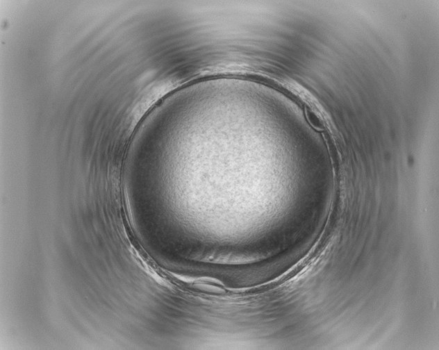 X0000087031337200705071525