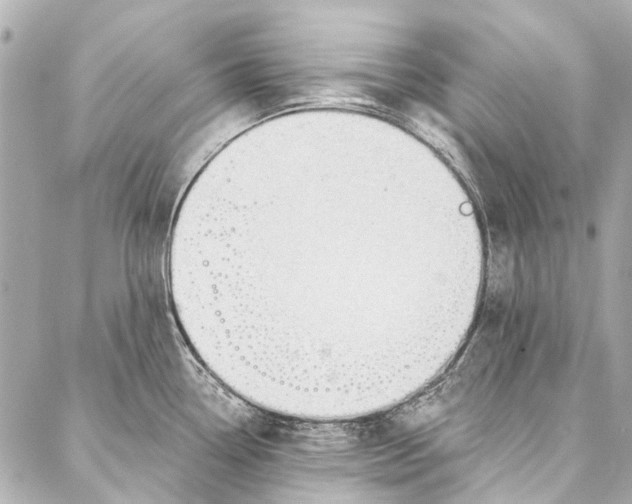 X0000087031338200705071525