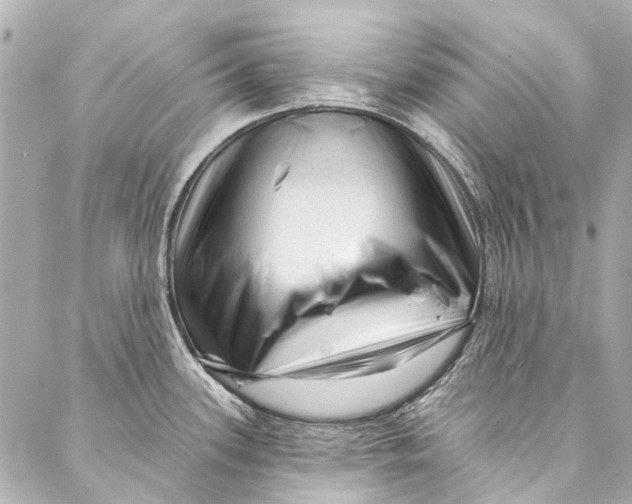 X0000087031339200705071525