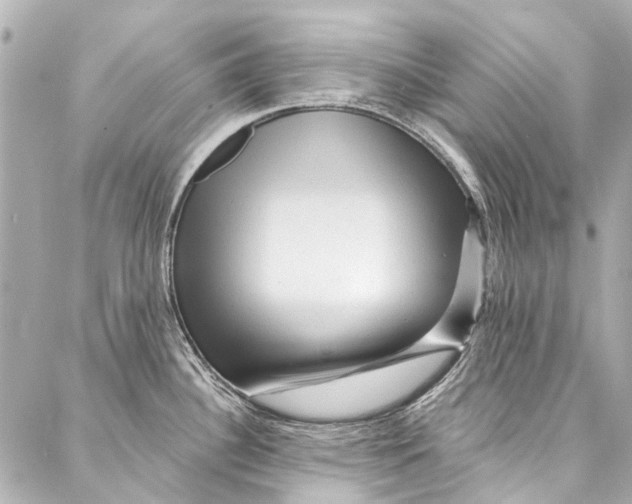 X0000087031340200705071525