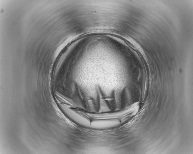 X0000087031341200705071525