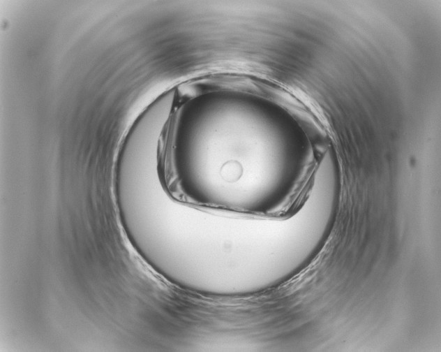 X0000087031342200705071525