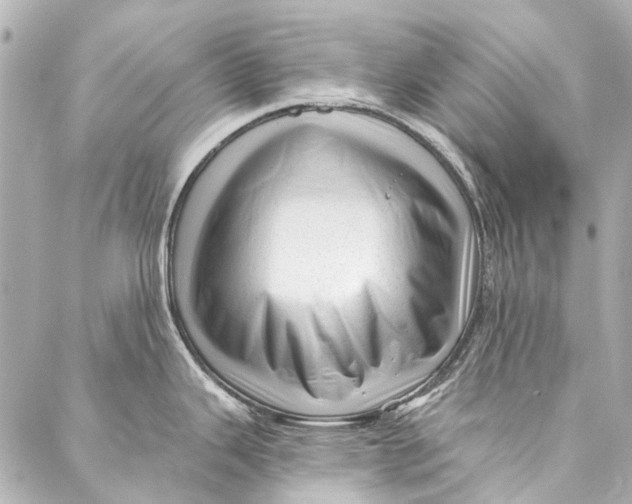 X0000087031343200705071525