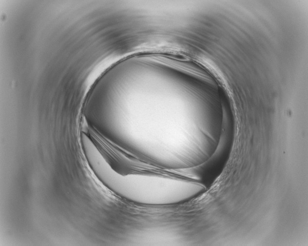 X0000087031344200705071525