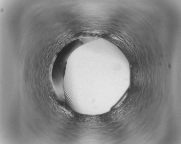 X0000087031345200705071524