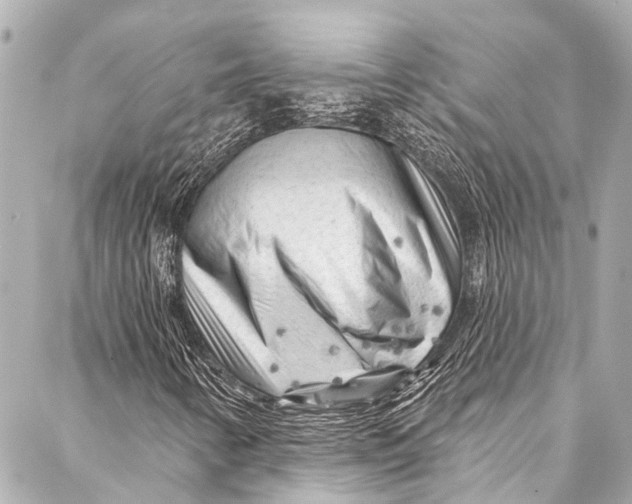 X0000087031346200705071524