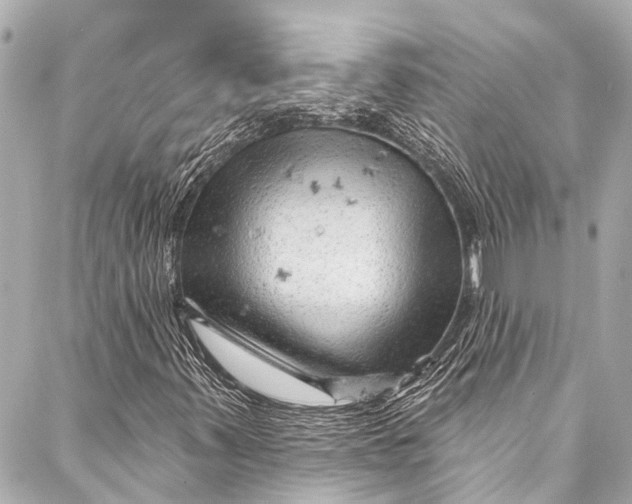 X0000087031347200705071524