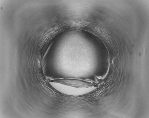 X0000087031348200705071524