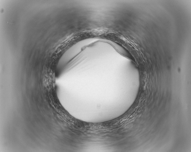 X0000087031349200705071524