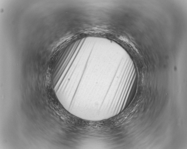 X0000087031350200705071524