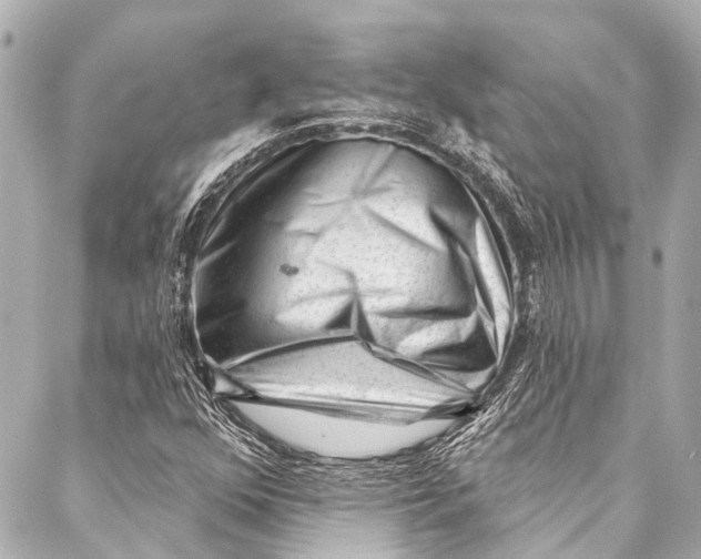 X0000087031352200705071524