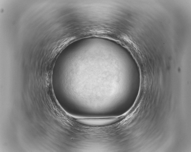 X0000087031353200705071524