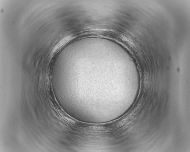 X0000087031354200705071524