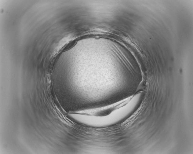 X0000087031355200705071524