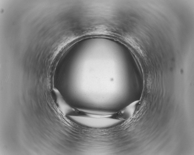 X0000087031356200705071524