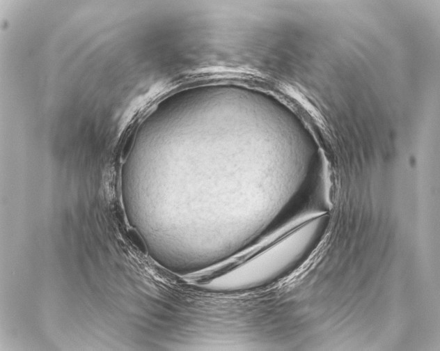 X0000087031357200705071524