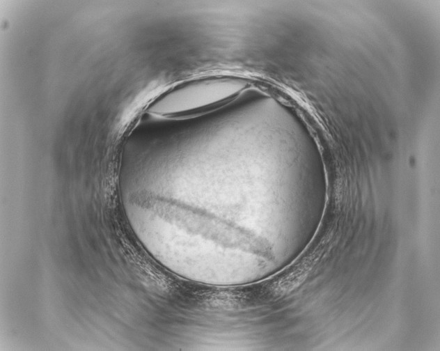 X0000087031359200705071524