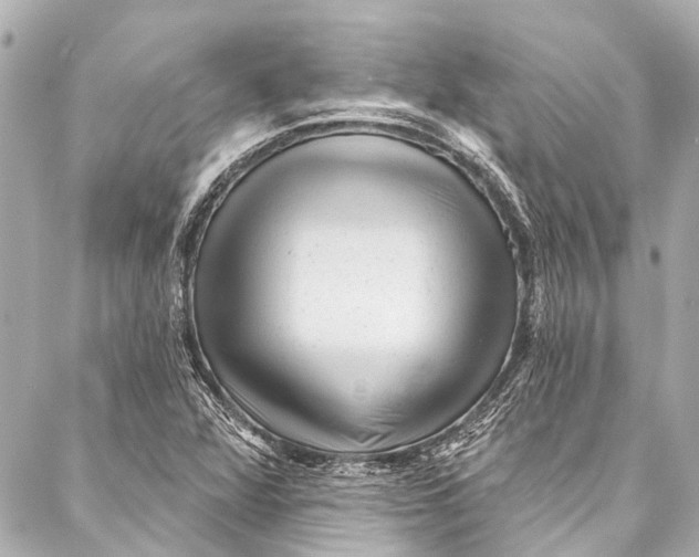 X0000087031360200705071524