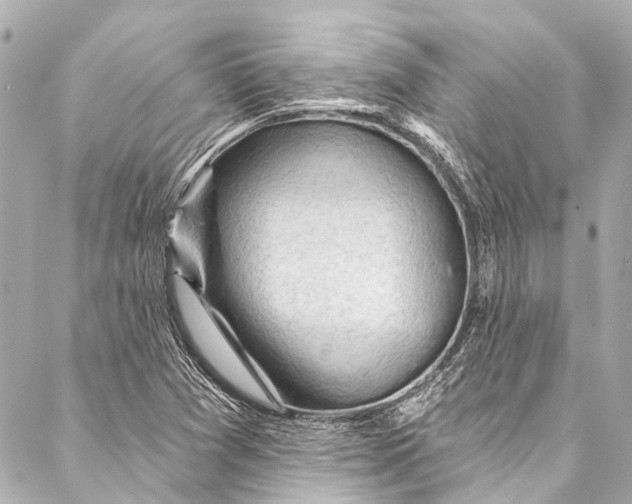 X0000087031361200705071524