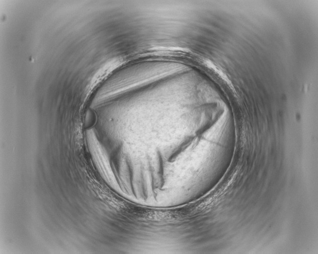 X0000087031362200705071524