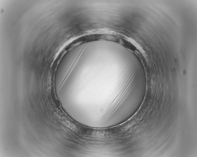 X0000087031364200705071524