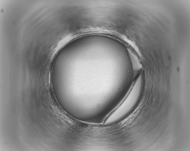 X0000087031365200705071524