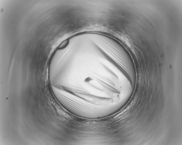 X0000087031366200705071524