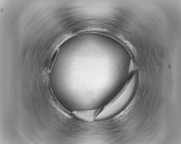 X0000087031369200705071524