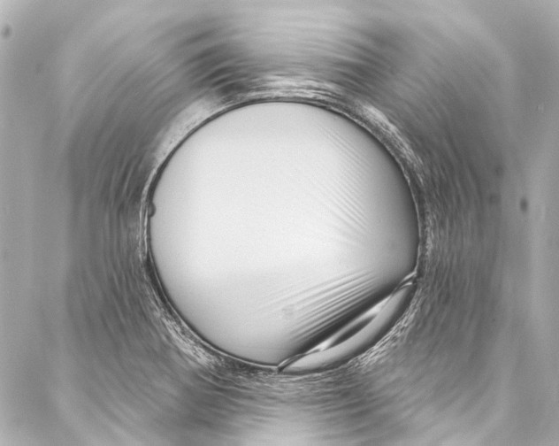 X0000087031370200705071524