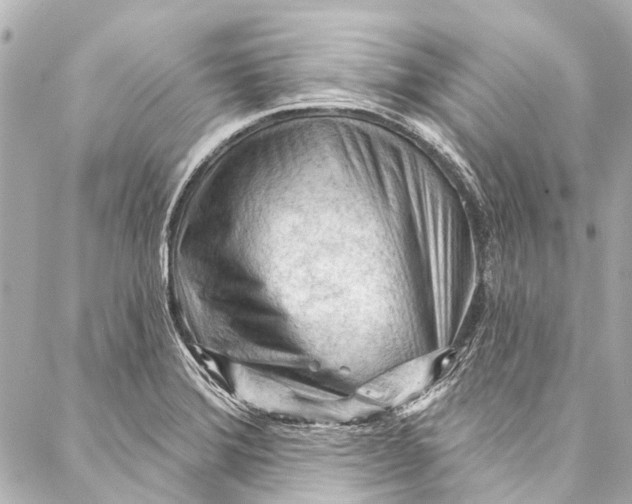 X0000087031372200705071524