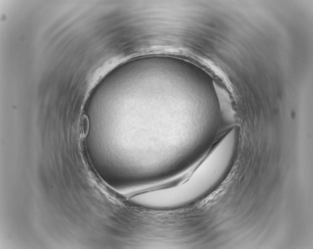 X0000087031373200705071524