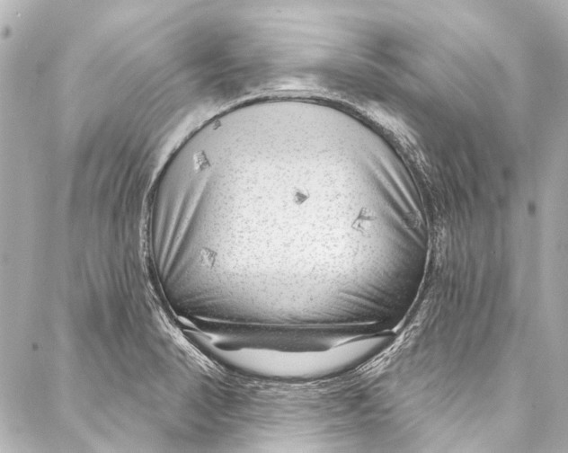 X0000087031374200705071524