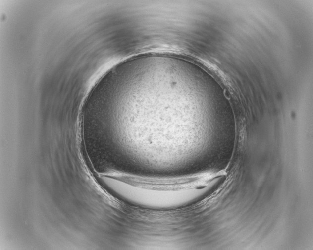 X0000087031375200705071524