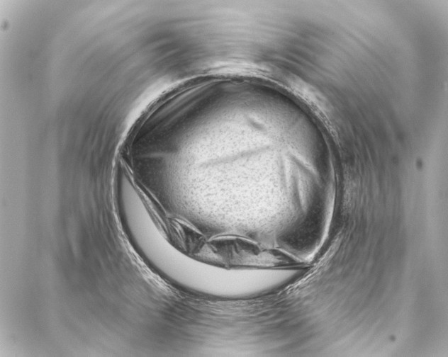 X0000087031376200705071524