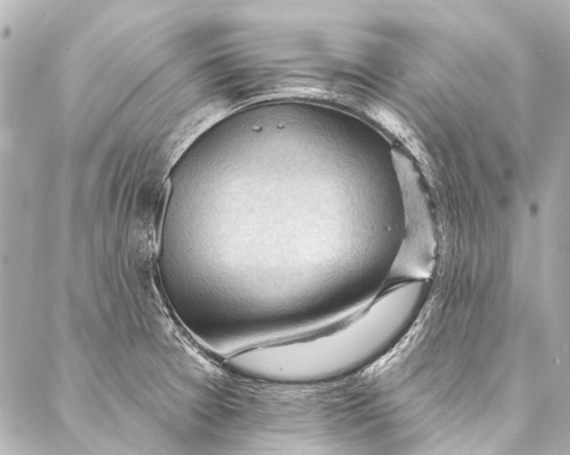 X0000087031377200705071524