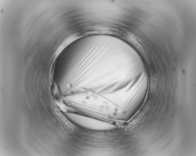 X0000087031378200705071524